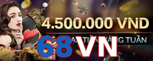 68VN